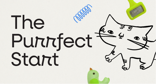 The Purrfect Start Project Thumbnail